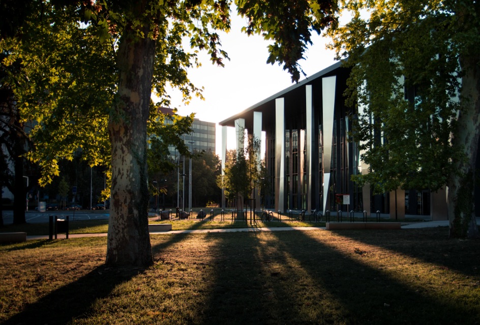 Two modern-looking buildings on a university campus angling towards one another partially hidden by trees with a lawn in front